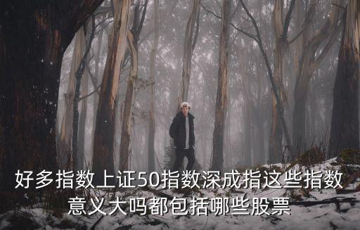 深成指有多少支股票，好多指数上证50指数深成指这些指数意义大吗都包括哪些股票