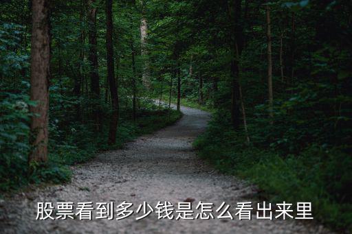 股票看到多少钱是怎么看出来里