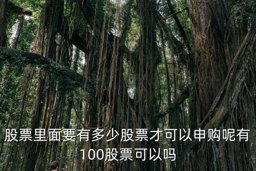 有多少股票能持有，股票里面要有多少股票才可以申购呢有100股票可以吗