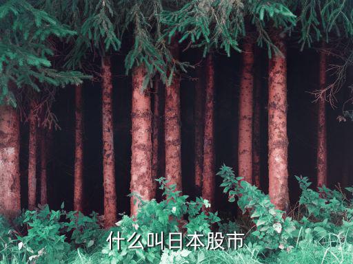 什么叫日本股市