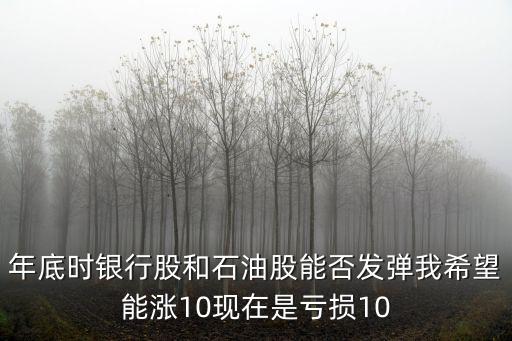 年底时银行股和石油股能否发弹我希望能涨10现在是亏损10