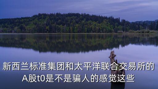 新西兰标准集团和太平洋联合交易所的A股t0是不是骗人的感觉这些