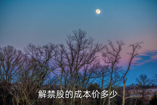 解禁股的成本价多少