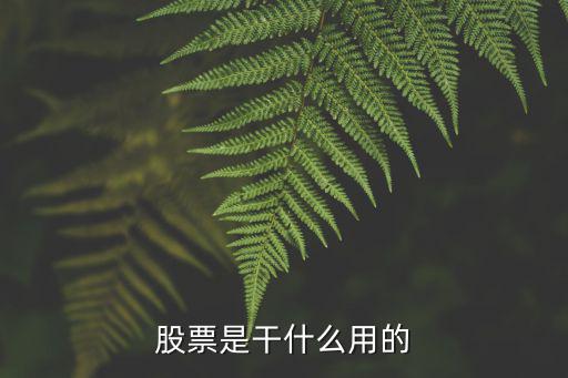 股票是干什么用的