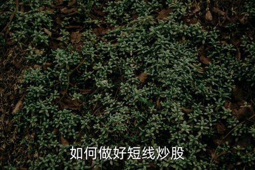今日游资买什么股票，现在什么行业的股票可以买入