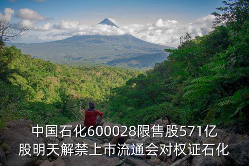 中石化流通多少股票，求现在A股股票流通股排行榜谢谢