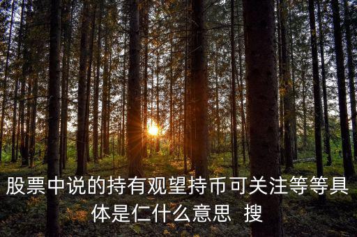 股票中说的持有观望持币可关注等等具体是仁什么意思  搜