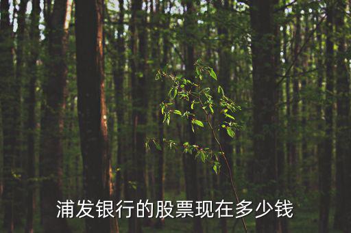 浦发银行的股票现在多少钱