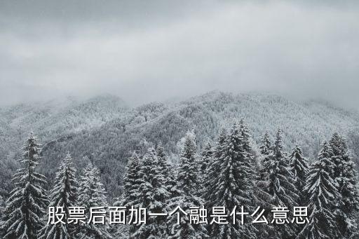 股票后面加一个融是什么意思