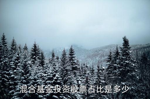 投资多少股票和基金，混合基金投资股票占比是多少