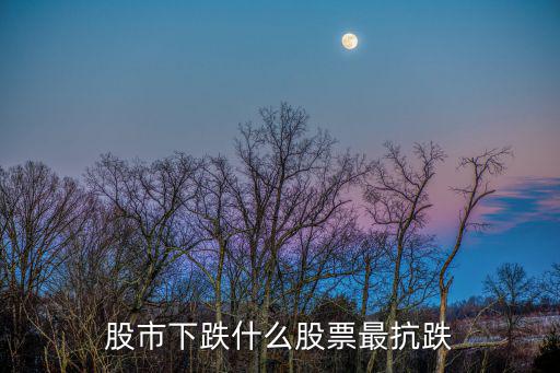 股市下跌什么股票最抗跌