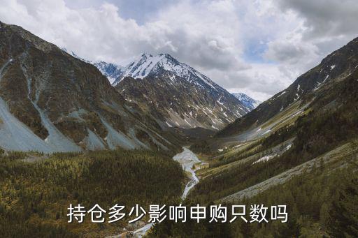 持仓多少股票不能买了，为什么持仓的股票有数量却显示不能卖