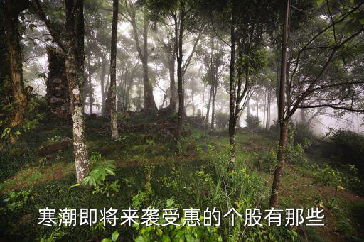 寒潮即将来袭受惠的个股有那些