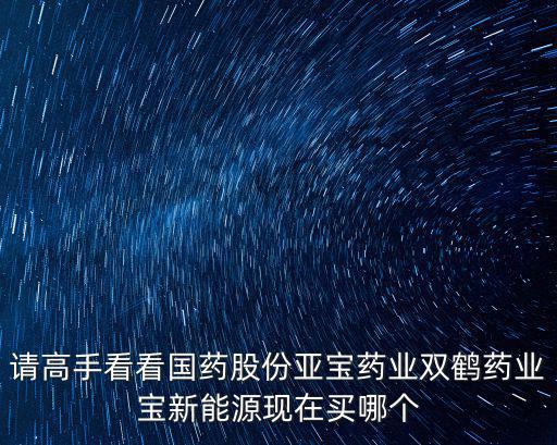请高手看看国药股份亚宝药业双鹤药业宝新能源现在买哪个