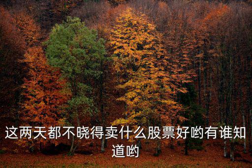 这两天都不晓得卖什么股票好哟有谁知道哟