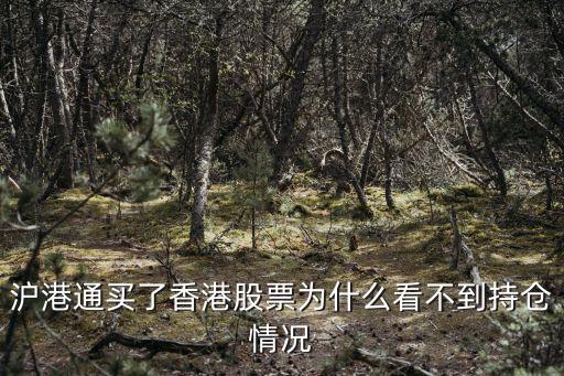 沪港通买了香港股票为什么看不到持仓情况