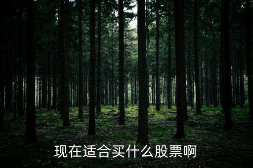 现在适合买什么股票啊