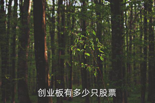 有多少股票是创业板的股票，创业板有多少只股票