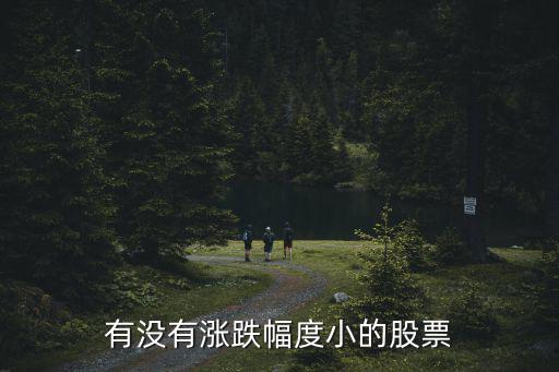有没有涨跌幅度小的股票