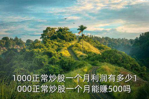 1000正常炒股一个月利润有多少1000正常炒股一个月能赚500吗