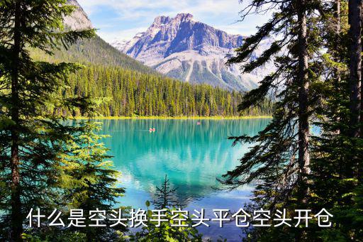 什么是空头换手空头平仓空头开仓