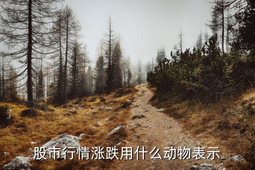 股票大跌象征什么生肖，股市行情观雨天请问这是指什么生肖