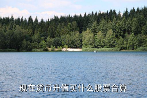 现在货币升值买什么股票合算