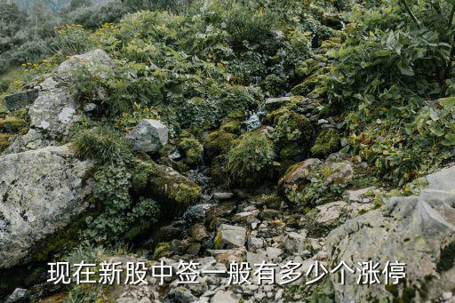 现在新股中签一般有多少个涨停