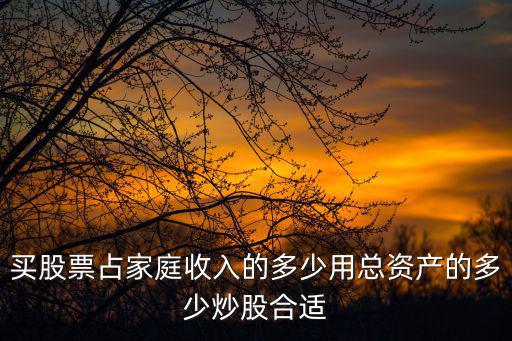 买股票占家庭收入的多少用总资产的多少炒股合适