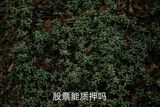 什么券商可以股票质押，有哪些券商有股票质押
