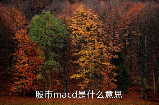 股票macd指标叫什么，股票中的MACD指标是什么意思