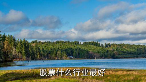 股票什么行业最好