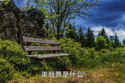 美股票是什么