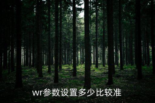 wr参数设置多少比较准