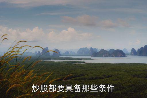 股票操作需要具备什么，炒股票需要什么素质