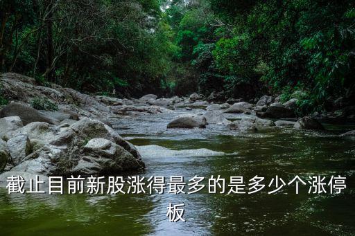 今年有多少股票涨停，今天有多少只股票涨停了