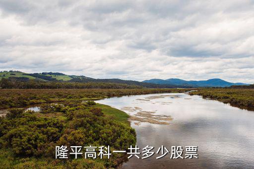 隆平高科一共多少股票