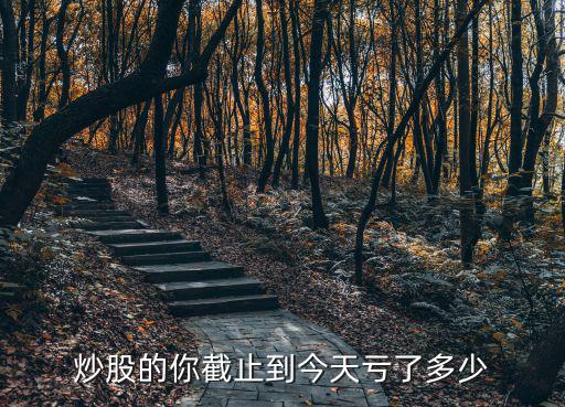 最近大家股票亏了多少，炒股的你截止到今天亏了多少
