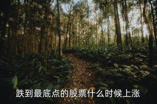 股票跌到多少才会涨，股票市场大盘一般能够连着跌几天才会涨幅