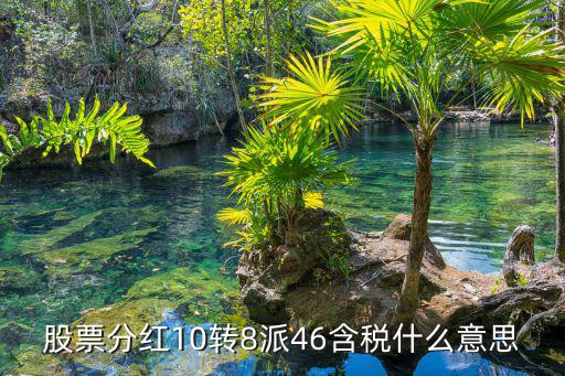 股票分红10转8派46含税什么意思