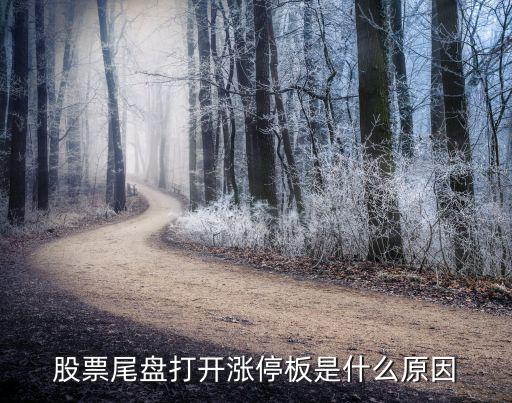 股票尾盘为什么涨了，为啥股市尾盘急剧拉升