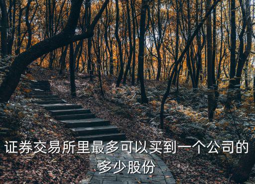 证券交易所里最多可以买到一个公司的多少股份