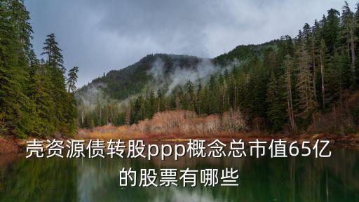 壳资源债转股ppp概念总市值65亿的股票有哪些