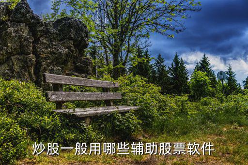炒股一般用哪些辅助股票软件