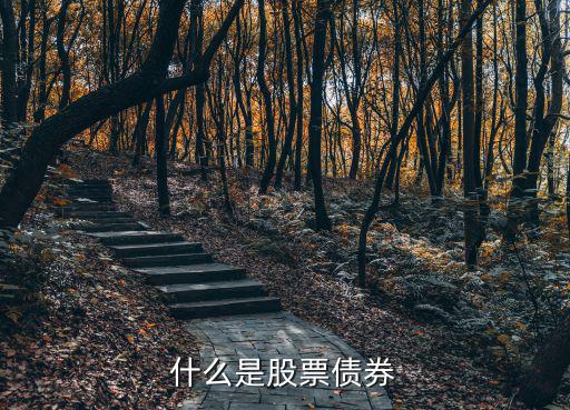 什么是股票债券