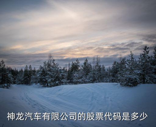 神龙汽车有限公司的股票代码是多少