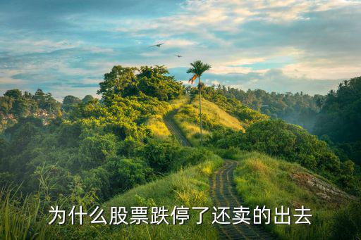为什么股票跌停了还卖的出去