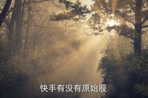 快手有没有原始股