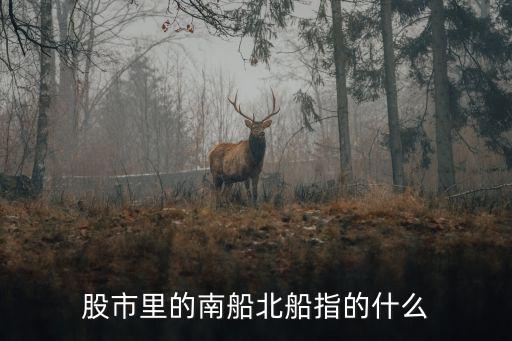股市里的南船北船指的什么
