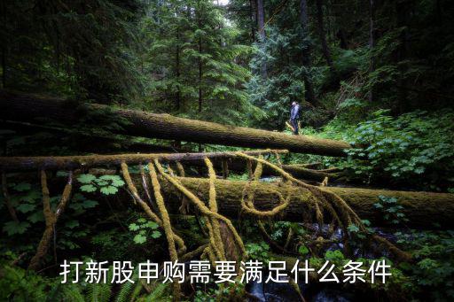 打新股申购需要满足什么条件